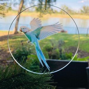 Blue Parakeet Holiday Christmas Ornament Acrylic bird lover